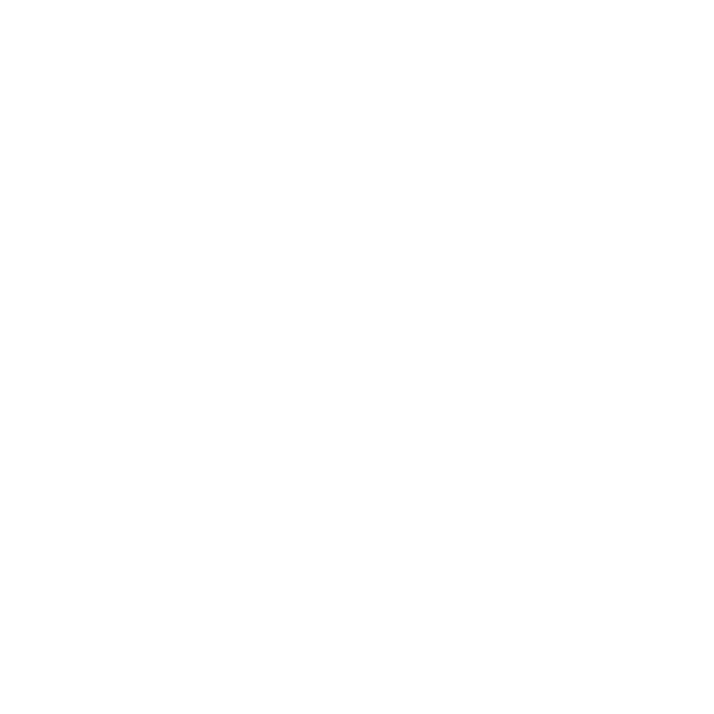 WT Partners